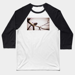 male red winged black bird in a tree Baseball T-Shirt